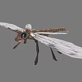 Detailed Dragonfly With White Transparent Wings Colorful Eyes And Brown Green Body In Flight