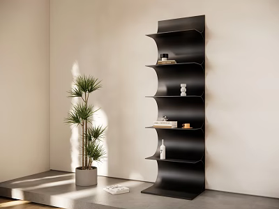 Modern Black Shelving Unit in Indoor Space with Decorative Items and Green Plant 3d model