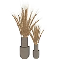Modern Concrete Vases With Wheat Ears Arrangement In Different Heights For Home Decor