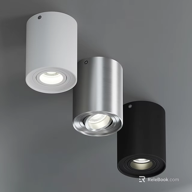 Minimalist Modern Ceiling With White Silver Black Downlights and Spotlights 3d model 