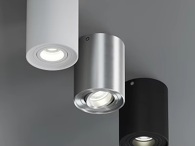 Minimalist Modern Ceiling With White Silver Black Downlights and Spotlights 3d model