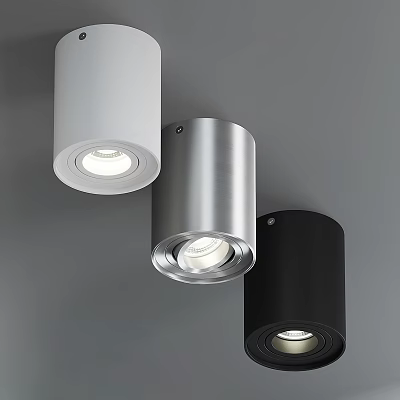 Minimalist Modern Ceiling With White Silver Black Downlights and Spotlights 3d model