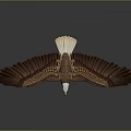 Majestic Brown Feathered Eagle With White Head Flying Spread Wings Gracefully 3d model