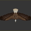 Modern Eagle Eagle Sculpture 3d model