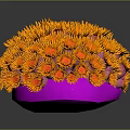 Bright Orange Aquatic Coral with Pink Base and Spherical Flower Shaped Form