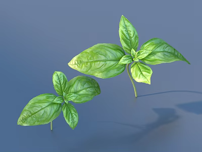 vegetables, green vegetables, vegetable leaf food 3d model