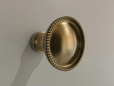Brass Round Cabinet Knob With Beaded Edge And Smooth Metal Surface 3d model