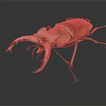 Stag Beetle With Large Red Mandibles And Brown Body On Dark Background Close Up View