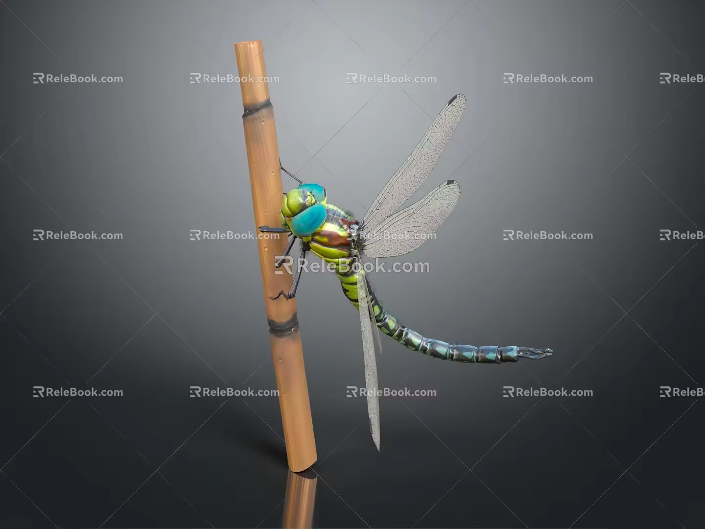 Modern Dragonfly Thin-winged Dragonfly Le Fairy Dragonfly Purple Red Dragonfly 3d model