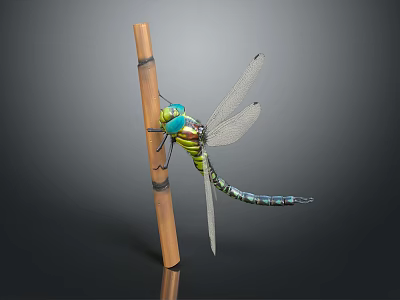 Vibrant Green and Blue Dragonfly Perched on Bamboo Stick with Transparent Wings 3d model