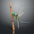 Modern Dragonfly Thin-winged Dragonfly Le Fairy Dragonfly Purple Red Dragonfly 3d model