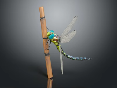 Vibrant Green and Blue Dragonfly Perched on Bamboo Stick with Transparent Wings 3d model