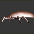 Red Hairy Mite 3D Model with Long Legs on Gray Background 3d model