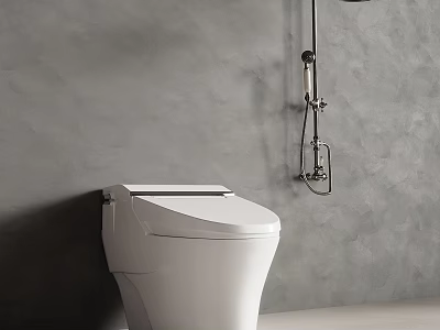 Modern Shower Head In Bathroom Interior With White Toilet And Gray Wall 3d model