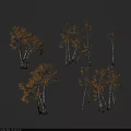 Birch Trees With Yellow Leaves And White Trunks On Gray Ground 3d model