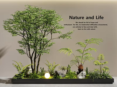 Natural Indoor Landscape With Large Tree Ferns Stones And Small Light Elements 3d model