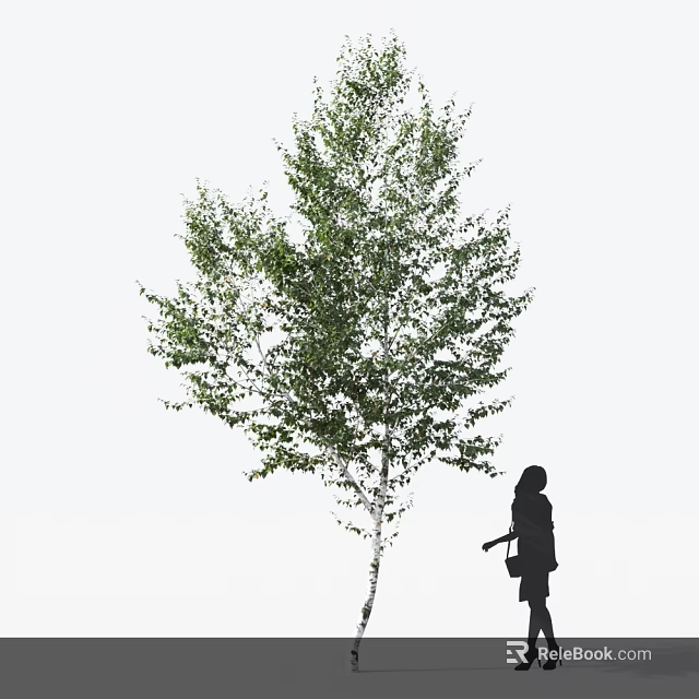 Tall Lush Arbor With Green Leaves And Human Silhouette Standing Beside 3d model 