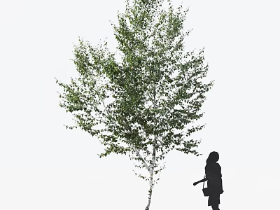 Tall Lush Arbor With Green Leaves And Human Silhouette Standing Beside 3d model