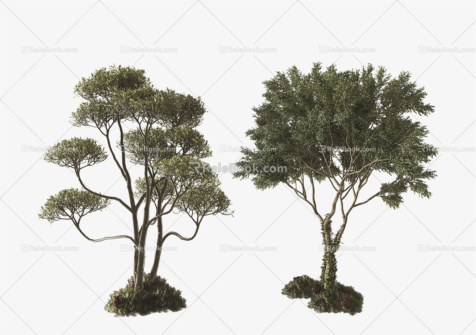 Modern Tree Landscape Tree Combination 3d model