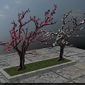 Two Trees With Red And White Flowers Against Blue Sky On Stone Ground With Grass
