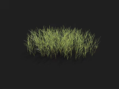 Lush Green Grass Clump Growing On Black Background With Natural Texture 3d model