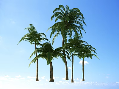 Group of Tall Palm Trees Against Clear Blue Sky With Fluffy Clouds 3d model