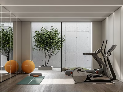 Modern Home Gym Interior With Treadmill Exercise Balls Yoga Mat And Green Plant 3d model