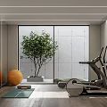 Modern Home Gym Interior With Treadmill Exercise Balls Yoga Mat And Green Plant