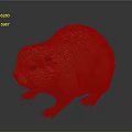 Orange Beaver with Fluffy Fur in Standing Pose on Gray Background Detailed Model
