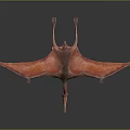 Red Brown Pterosaur 3D Model With Spread Wings On Dark Background 3d model