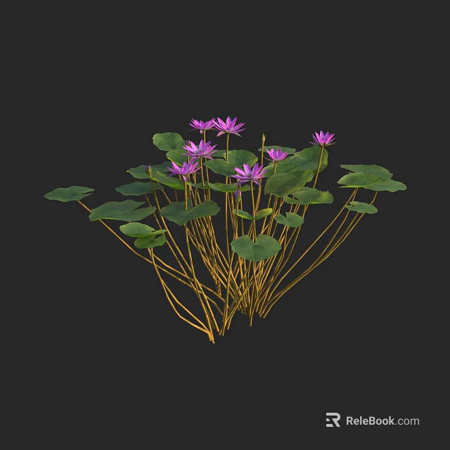 Vibrant Purple Water Lilies With Green Leaves And Yellow Stems On Black Background 3d model 