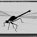 3D Rendered Dragonfly Models With Green Body White Transparent Wings And Metallic Details