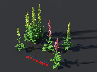Beautiful Veratrum Yarrow And Veratrum Head Plants With Green Leaves Yellow And Pink Flower Stems 3d model