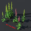 Beautiful Veratrum Yarrow And Veratrum Head Plants With Green Leaves Yellow And Pink Flower Stems
