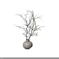 White Vase Decorated With Natural Dry Branches for Modern Home Interior Decoration