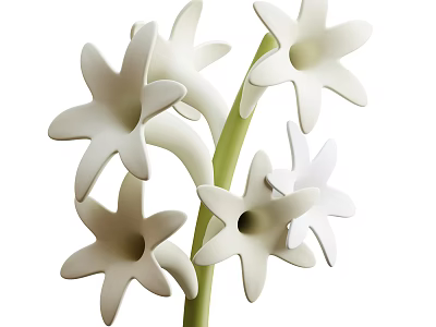 White Star Shaped Flowers With Green Stem And Multiple Gathered Blooms 3d model
