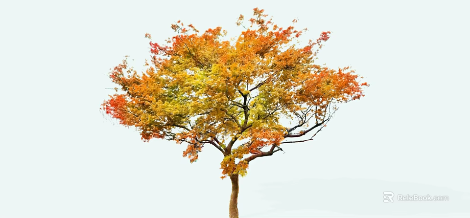 Beautiful Autumn Tree With Vibrant Orange Yellow Green Leaves And Brown Trunk 3d model 