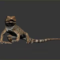 Brown Spotted Lizard Standing On Black Smooth Surface With Gray Gradient Background 3d model
