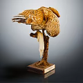 Stuffed Flying Bird Taxidermy Perched On Branch With Wooden Display Base