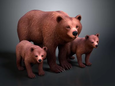 Three Brown Bears Adult And Two Cubs Standing Together On Gray Background 3d model