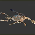 3D Rendered Medical Device Skeletal Model For Anatomical Study And Teaching