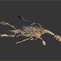 Modern Skeleton Animal Skeleton Lion Skeleton Skeleton 3d model