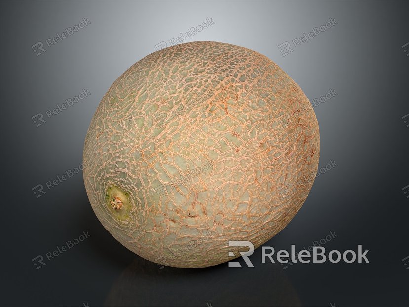 Modern Hami Melon Fruit Vegetable Fruit model