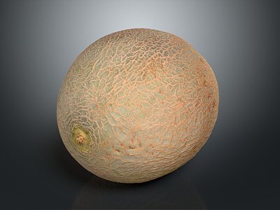 Modern Hami Melon Fruit Vegetable Fruit model