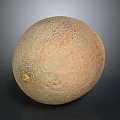 Fresh Ripe Juicy Honeydew Melon With Smooth Textured Greenish Brown Skin On Dark Background