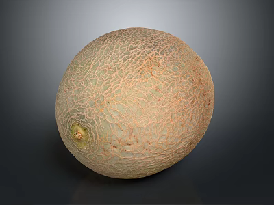 Fresh Ripe Juicy Honeydew Melon With Smooth Textured Greenish Brown Skin On Dark Background 3d model