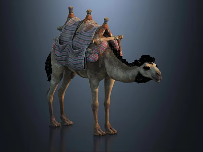 camel desert camel dromedary bimodal camel wild camel big camel land animal 3d model