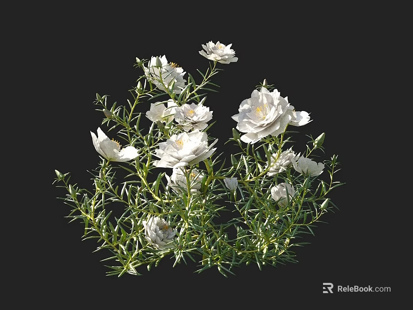 Beautiful White Flowers With Fresh Green Leaves Against Black Background For Decorative Use 3d model 
