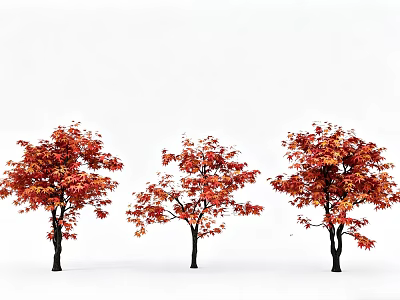 Three Autumn Trees With Red And Orange Leaves On White Background 3d model