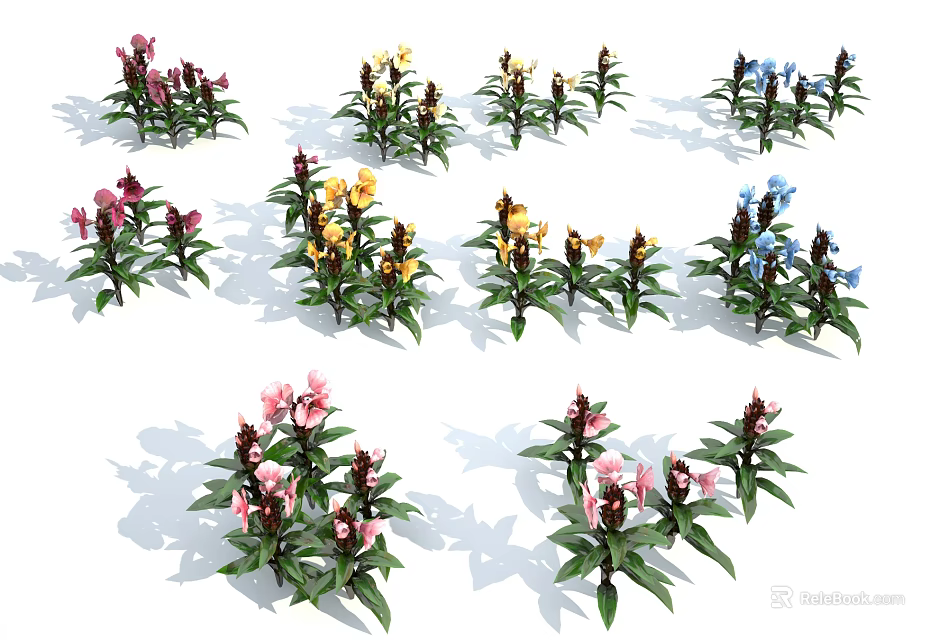 Colorful Flowering Plants With Pink Yellow Blue Blooms And Green Leaves 3d model 